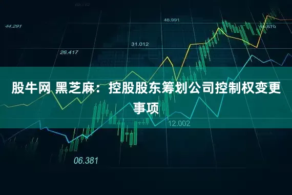 股牛网 黑芝麻：控股股东筹划公司控制权变更事项