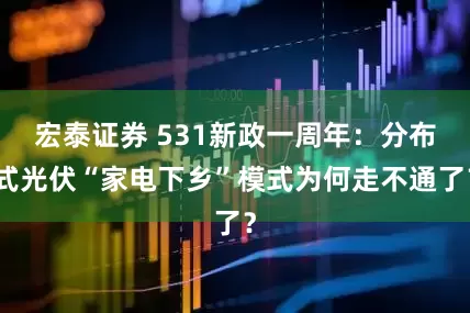 宏泰证券 531新政一周年：分布式光伏“家电下乡”模式为何走不通了？